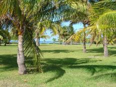 Florida_Visitations