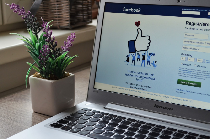 computer open to Facebook home screen and plant