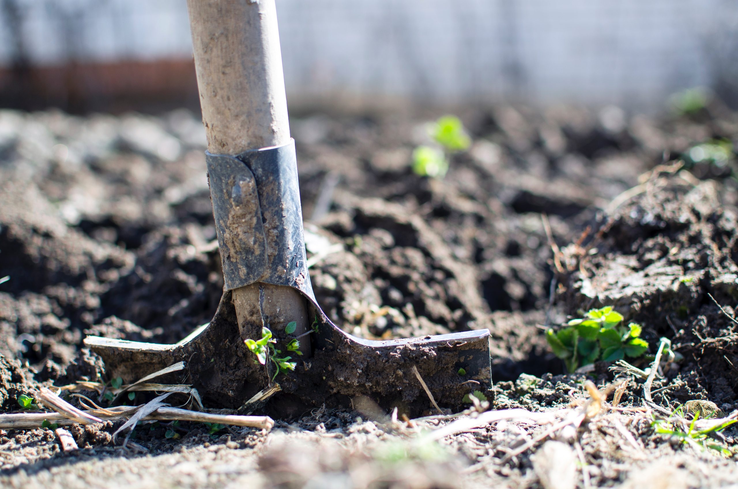 Shovel digging into dirt