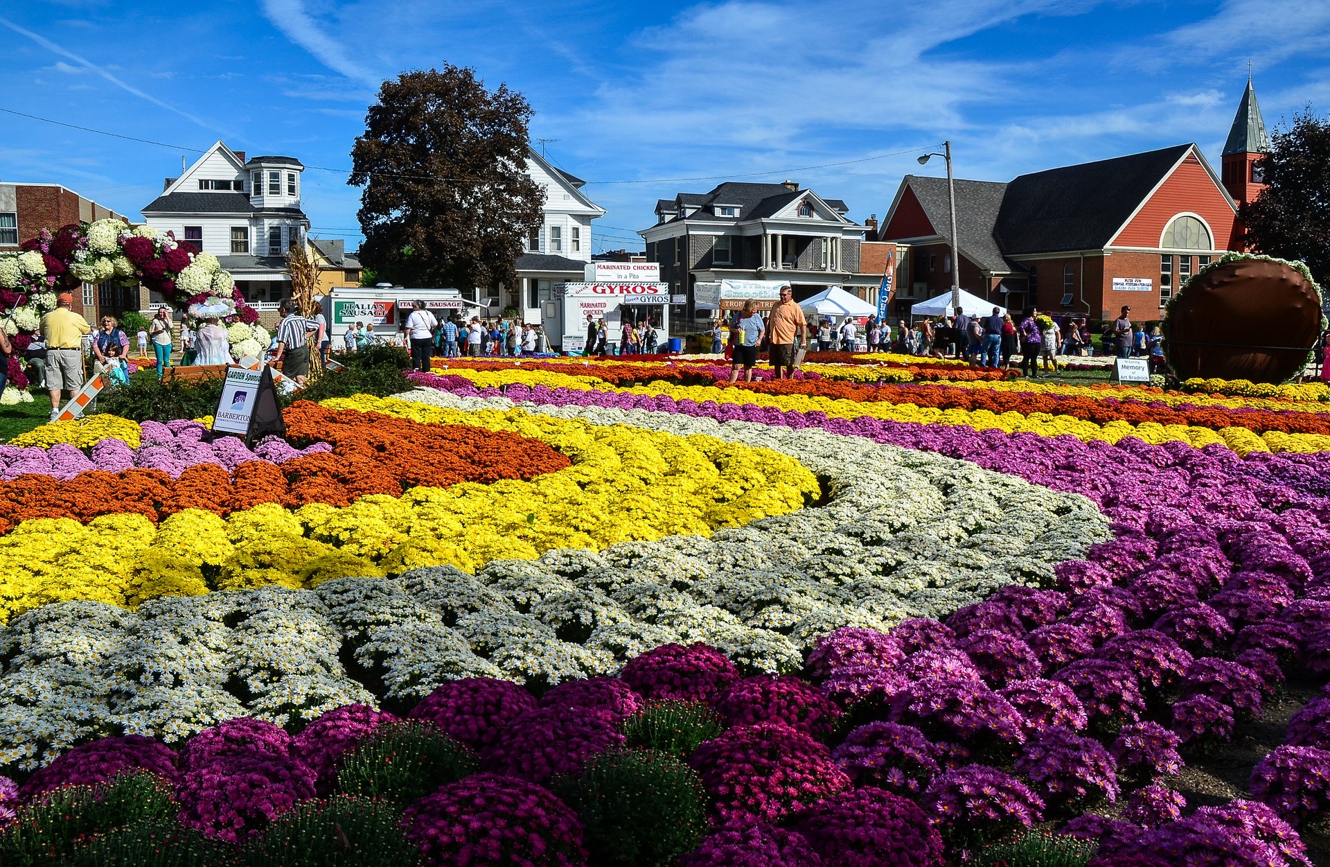 ohio barberton mum festival